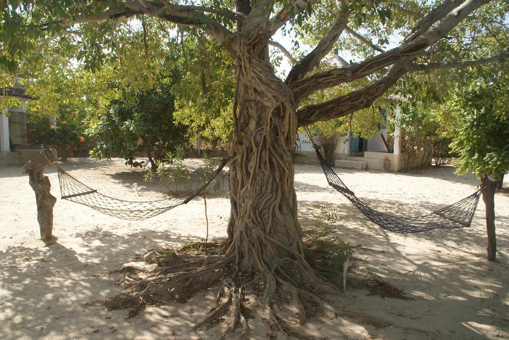 Bazouk Du Saloum Ecolodge Mar Lodj 객실 사진